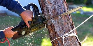 Best Soil Testing and Treatment  in East York, PA